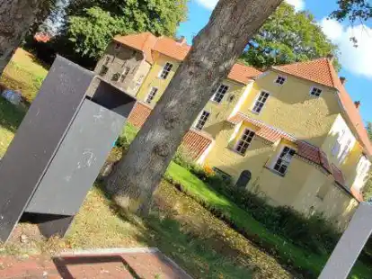 Die M&uuml;lleimer vor der Burg reichen laut Politikern f&uuml;r gr&ouml;&szlig;eren M&uuml;ll wie Kartons kaum aus. Gr&ouml;&szlig;ere M&uuml;lleimer passten allerdings nicht zur neuen Marktplatzoptik vor der Pewsumer Manningaburg.