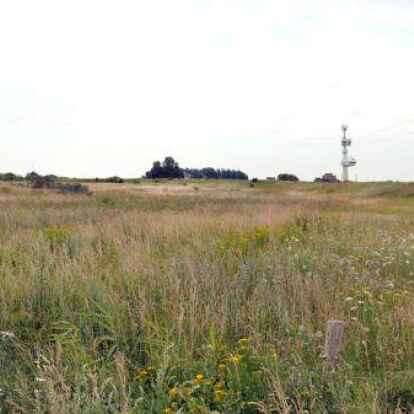 Ab Mitte der 1950er Jahre diente das Gebiet auf dem Rysumer Nacken als Deponie f&uuml;r Baggergut.