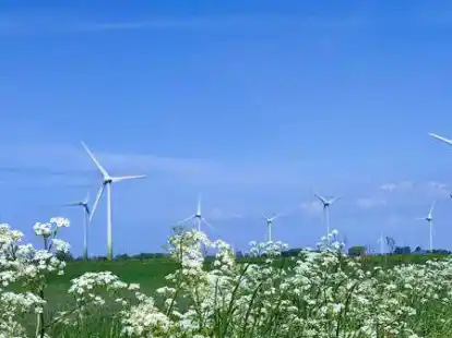 Die Krummh&ouml;rn war einst eine der Vorreiterinnen beim Thema Windkraft. In den vergangenen Jahren geschah allerdings wenig.