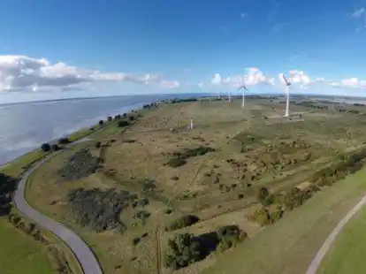 Wird aus dem Deichvorland bald ein Deichhinterland? Auf dem Rysumer Nacken soll sich Industrie ansiedeln.