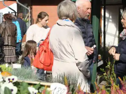 Zwischen Blumen und St&auml;nden: Der Markt war gut besucht.