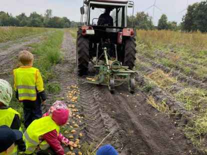 M&auml;dchen und Jungen der Kita L&ouml;wenzahn auf dem Hof Biebert in Munderloh