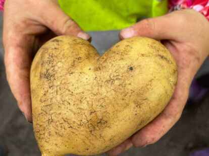 M&auml;dchen und Jungen der Kita L&ouml;wenzahn auf dem Hof Biebert in Munderloh