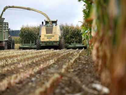 Ein Maish&auml;cksler und ein Traktor mit Anh&auml;nger bei der Maisernte: Immer h&auml;ufiger ist es in den vergangenen Jahren zu Anschl&auml;gen auf landwirtschaftliche Betriebe gekommen.