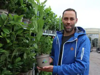 Jan Schlangen von der Baumschule Schlangen mit einer Lieferung von 120.000 Kirschlorbeer-Pflanzen, die eigentlich schon im Fr&uuml;hjahr h&auml;tten verkauft sein sollen. Nun gehen sie als Aktionsware in die Filialen eines Discounters.