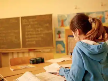 Unterricht in einer Schulklasse: F&ouml;rderschulen &bdquo;Lernen&ldquo; zeichnet unter anderem die kleine Klassengemeinschaft aus. Manche der Sch&uuml;ler haben in gr&ouml;&szlig;eren Gruppen Probleme.