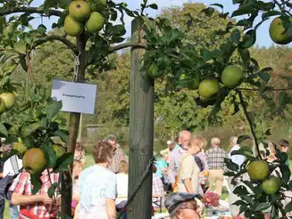 Die Hasbruchfreunde laden zum Apfeltag ein.