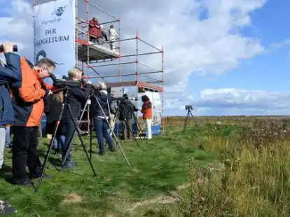 Faszinierende Einblicke w&auml;hrend der Zugvogeltage: Vogelliebhaber beobachten mit ihren Spektiven und Ferngl&auml;sern vom Deich des Jadebusens in Varel und dem extra daf&uuml;r aufgebauten Vogelturm rastende Zugv&ouml;gel.