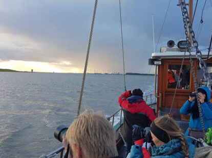 Leinen los und Augen auf: Kutterfahrten sind feste Programmpunkte w&auml;hrend der Zugvogeltage.