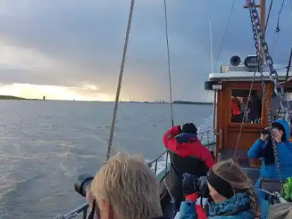 Leinen los und Augen auf: Kutterfahrten sind feste Programmpunkte w&auml;hrend der Zugvogeltage.