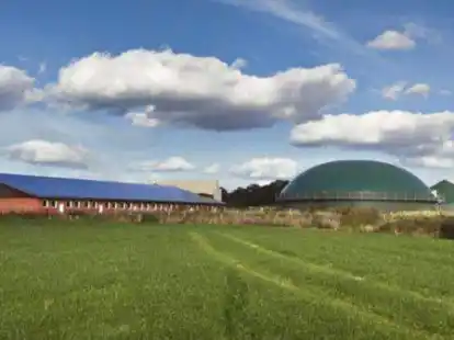 Soll erweitert werden: die Biogasanlage des Familienbetriebs Ahlers in D&uuml;ngstrup.