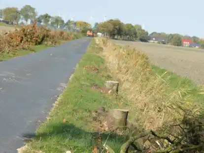 Im Zuge der Flurbereinigung Middoge-Tettens wurde eine Allee aus 41 Eichen und Eschen am Triftweg gef&auml;llt.