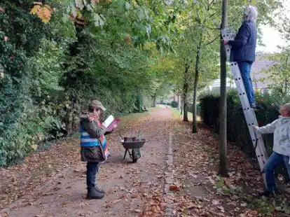 Beim Anbringen von Nistk&auml;sten am Stadtwall in Wildeshausen (von links): Annick Mabuleau-Pohl, Willy Zerhusen und Gertraud Kreye vom Nabu