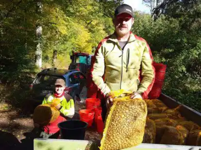 Verladen die &uuml;ppige Eichelernte in S&auml;cke: die Forstwirte Henry Caspers (links) und Klaus Scheffer von den Nieders&auml;chsischen Landesforsten.