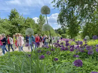 Lockte mehr Besucher an als jemals zuvor: der Park der G&auml;rten in Bad Zwischenahn.