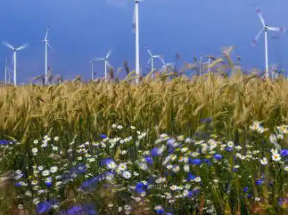 Saubere Energie und intakte &Ouml;kosysteme (Symbolbild): Nur einige von insgesamt 17 Nachhaltigkeitszielen der UN. Wer sich f&uuml;r eines dieser 17 Ziele einsetzt, kann sich mit seinem Projekt bei der GVO-Stiftung bewerben.