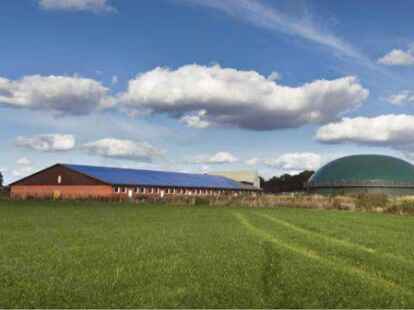 Die Biogasanlage der Familie Ahlers in D&uuml;ngstrup soll erweitert werden. Doch im Dorf regt sich Protest.