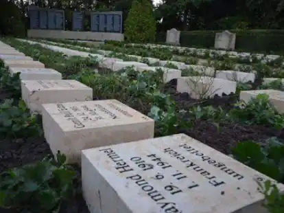 189 Grabsteine installiert