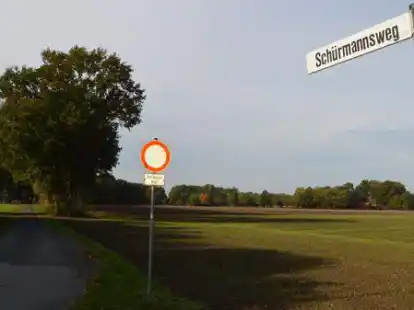 Neues Bau- und Gewerbegebiet: Die B&auml;ume am Sch&uuml;rmannsweg sollen erhalten bleiben.