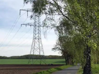 Die Stromtrasse von Elsfleth zum Umspannwerk in Ganderkesee soll erneuert und verst&auml;rkt werden.