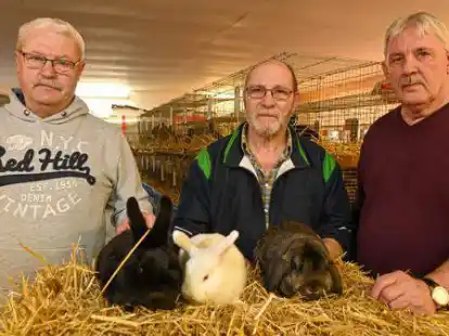 Freuen sich auf die Schau in Loppersum: die Z&uuml;chter G&ouml;ke Harken, Alfred Ukena und Helmut Hoogestraat (v.l.) im Ausstellungsraum.