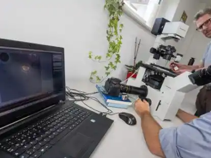 Aqua Ecology analysiert und bewertet bundesweit Gew&auml;sserproben: Nils Hintz (am Mikroskop) und Gesch&auml;ftsf&uuml;hrer Dr. Claus-Dieter D&uuml;rselen