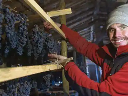 Miguel Mart&iacute;nez setzt auf seinem Weingut im Anbaugebiet La Rioja auf Bio-Wein.