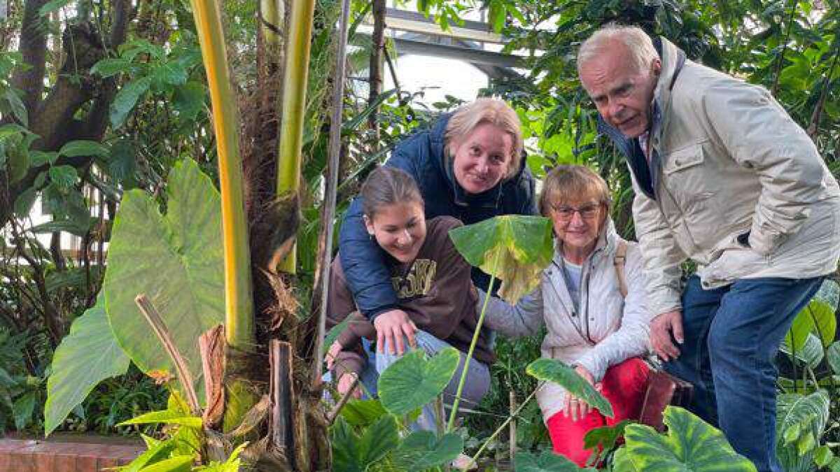 Botanischer Garten in Oldenburg Im Tropenhaus muss die Heizung auch in