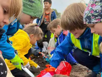 Packten bei der Kartoffelernte auf dem Hof Osterloh mit an: zwei Schulklassen der Grundschule Lange Stra&szlig;e in Ganderkesee.