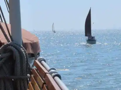 Dollart und Obere Ems bilden ein beliebtes Wassersportrevier.