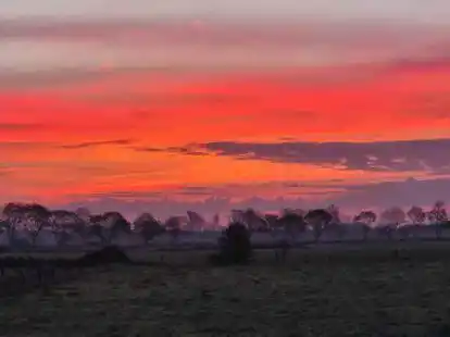Mit diesem spektakul&auml;ren Farbspiel hat sich der Oktober bei Gisela Buurman in Twixlum verabschiedet. Sie schreibt: &bdquo;Der Blick aus meinem K&uuml;chenfenster hat mir heute Morgen so viel Freude bereitet, dass ich das anliegende Foto gerne an sie weiterleiten m&ouml;chte.&ldquo; Eine gute Entscheidung, finden wir.