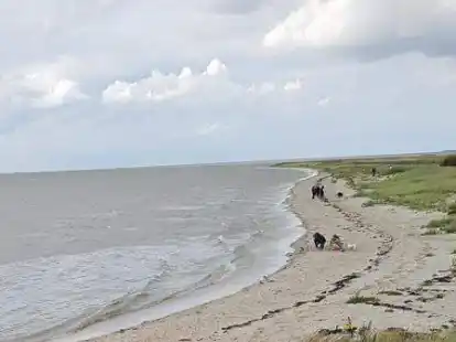 F&uuml;r Christian Meissner ist der kleine Strand mit der D&uuml;nenlandschaft an der Knock &bdquo;immer wieder sch&ouml;n&ldquo;. Er findet: &bdquo;Es lohnt sich, bei jedem Wetter dort spazieren zu gehen.&ldquo;