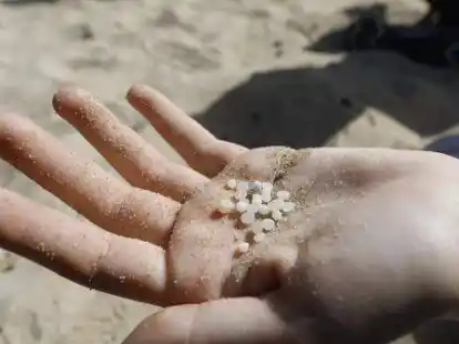 Meso- und Mikroplastik gef&auml;hrdet das Leben in Fl&uuml;ssen, Seen und Meeren. Allerdings fehlen noch verl&auml;ssliche Daten.