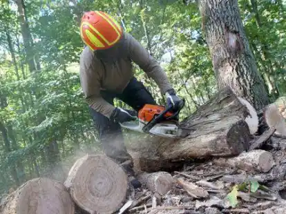 Die Nachfrage nach Brennholz ist in diesem Jahr besonders gro&szlig;.