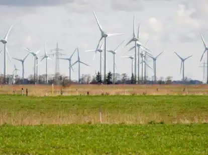 Zahlreiche Windkraftanlagen stehen auf Feldern im Landkreis Aurich: F&uuml;r jede solcher Anlagen braucht es Ausgleichsfl&auml;chen &ndash; genau wie f&uuml;r normale Bauvorhaben. Diese zu berechnen oder gar zu entwickeln, ist in Ostfriesland aber zunehmend schwieriger.
