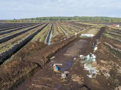 Die Ausgrabung des Bohlenweges im Torfabbaugebiet des Aschener-Heeder Moores.