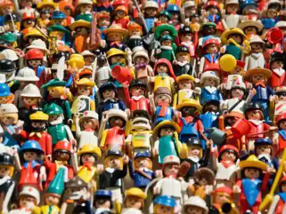 Mit Hilfe von Playmobil-Figuren erkl&auml;rt Michael Sommer Literatur.