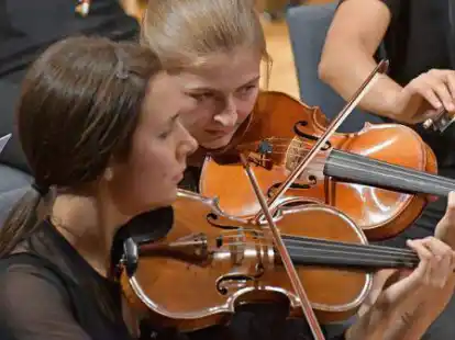 Violinen als unverzichtbarer Bestandteil des Kinderkonzerts (Symbolbild)