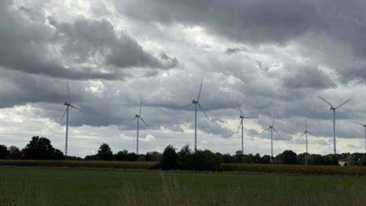 Windpark Gemeinde Hatten: Reon AG stellt Pläne vor
