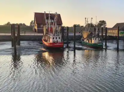 Die neue Landesregierung hat in ihrem Koalitionsvertrag die uneingeschr&auml;nkte Nutzung des Fedderwardersieler Hafens zugesagt.