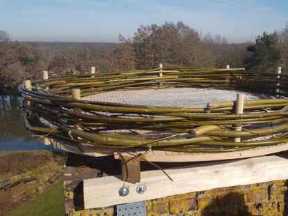 Hier br&uuml;ten vielleicht schon bald St&ouml;rche.