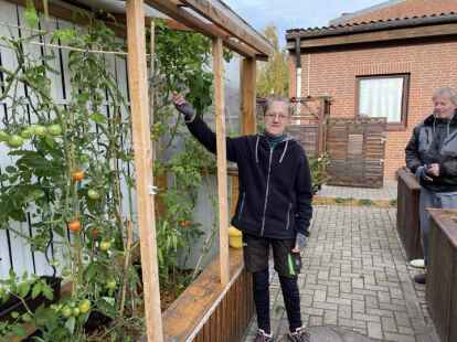 Nicht nur die Menschen, auch die Tomaten f&uuml;hlen sich hier wohl.