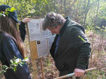 Landschaftsgestaltung geh&ouml;rt mit zu den Arbeitsfeldern des Jobcenter-Projektes.