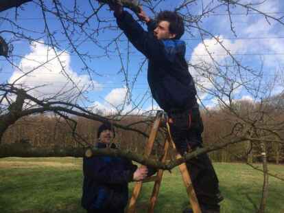 Landschaftsgestaltung geh&ouml;rt mit zu den Arbeitsfeldern des Jobcenter-Projektes.