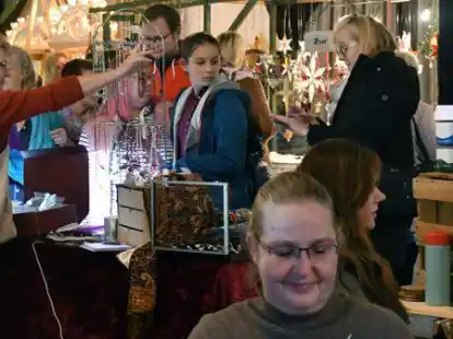 Die Hobbyausstellung am Sonntag im Harpstedter Koems-Saal war gut besucht.