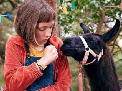 L&auml;uft  im Kinderfilm-Festival: &bdquo;Mein Lotta-Leben: Alles Tschaka mit Alpaka&ldquo; wird am Sonntag, 13. November, gezeigt.