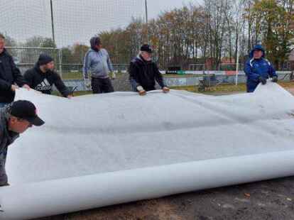 Das Vlies wird ausgerollt: Frisianer und Mitglieder des B&uuml;rgervereins schaffen ein neues Angebot im Stadtteil Transvaal.