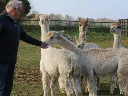 Heiko Micke mit den Stuten und Fohlen seiner kleinen Alpaka-Herde.