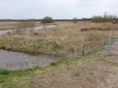 Die einstige Sandfl&auml;che am Naturschutzgebiet Holtgast ist l&auml;ngst verkrautet und B&uuml;sche stehen dort auch. Dies ist eines der Gr&uuml;nde des Nabu-Ortsvereins Apen, sich f&uuml;r die Bestellung von Landschaftswarten im Landkreis stark zu machen.