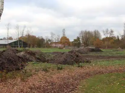 Auf dieser Fl&auml;che zwischen Sportpark und Tennishalle in Bar&szlig;el k&ouml;nnte ein Mehrgenerationenplatz entstehen.